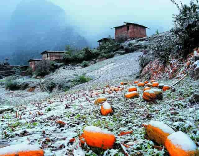 开启合作新篇章！联想成为国际米兰2021-22赛季球衣背后的赞助商