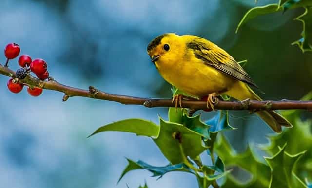 左右停车场(承包停车场)