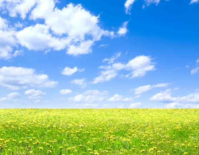 疫期防控处理(防控不力被处理)