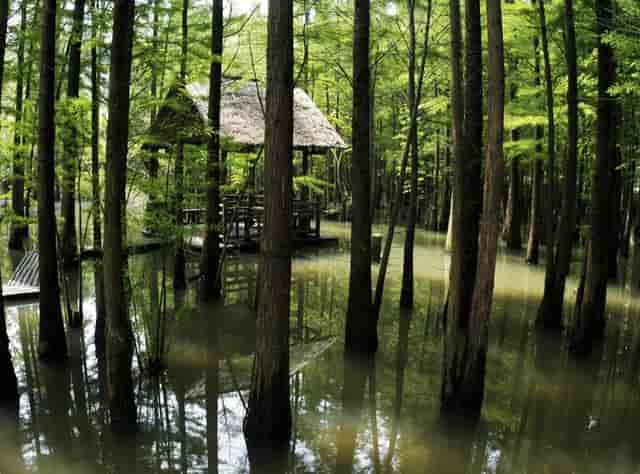 腰围从66cm到56cm，2个月左右整整小了10cm！我是这样瘦下来的