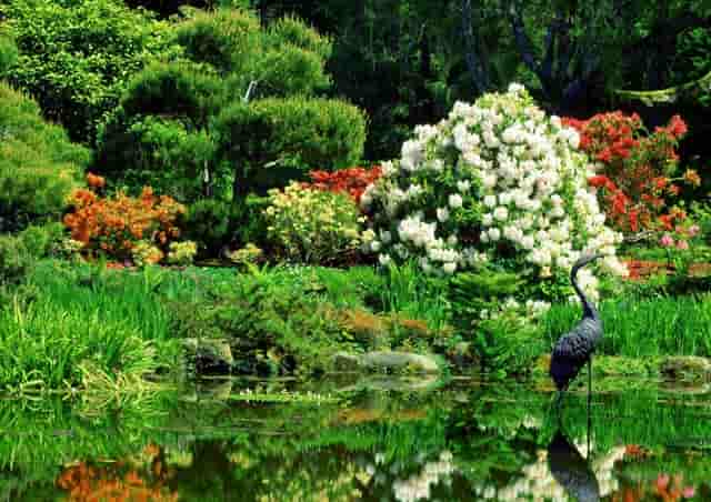 新冠疫苗接种新闻快讯