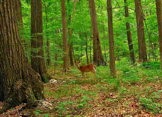 除了穆沙拉 欧洲联赛还有两位高大全能的年轻球员值得关注？你们认识吗？