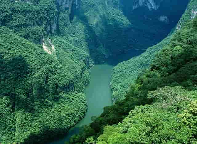 第二宫？美媒透露 湖人打算签回球哥 而如果真的实现了 詹姆斯和戴维斯就解放了！