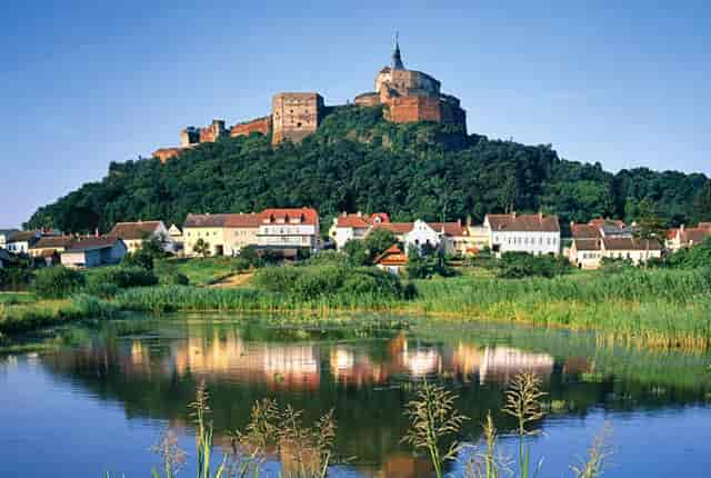 肖战手臂线条，粉丝：有些人表面是个可爱兔实际上是183北极巨兔