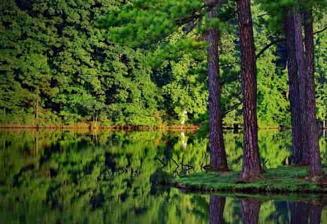 湖人在行动！交易邵伟计划曝光 要想夺冠就要组建超级三巨头