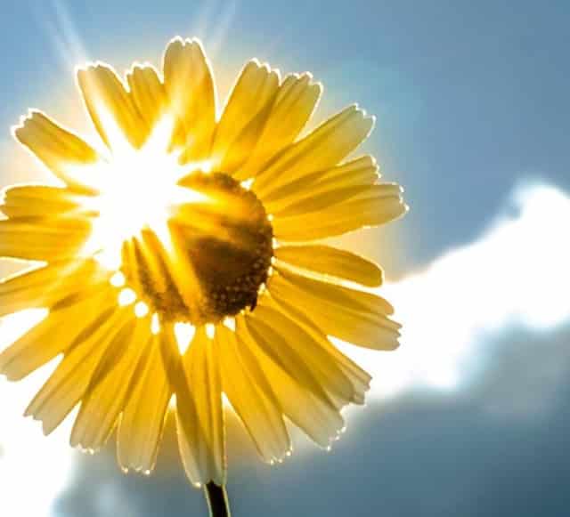 如何用手机拍的照片(如何用手机拍的照片洗出一寸的照片)