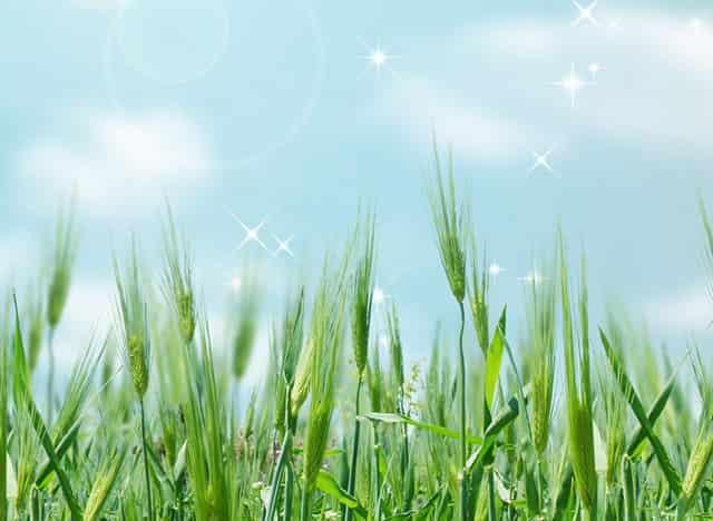 王嘉尔官宣最近音乐伙伴、BALENCIAGA全新腋下包曝光…