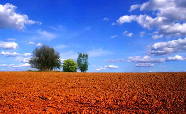 蔡嘉珍成功註冊理財規劃師，邁出專業領域新里程碑