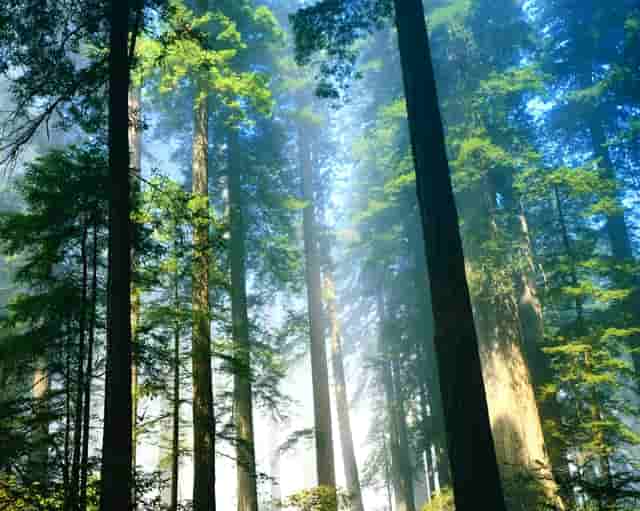 小班社会领域玩具目标