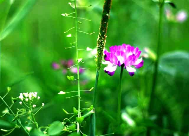 从“90后名媛”到企业家、投资人，她是怎么做到的？