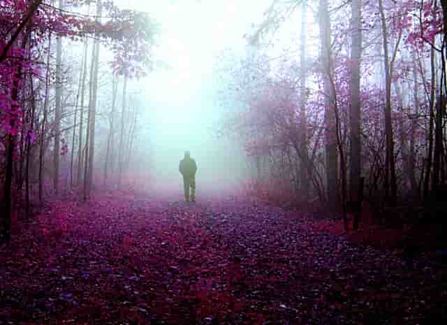 深度报道｜当“购买力”与“好品味”彻底脱钩，皮草的存在还有什么意义？