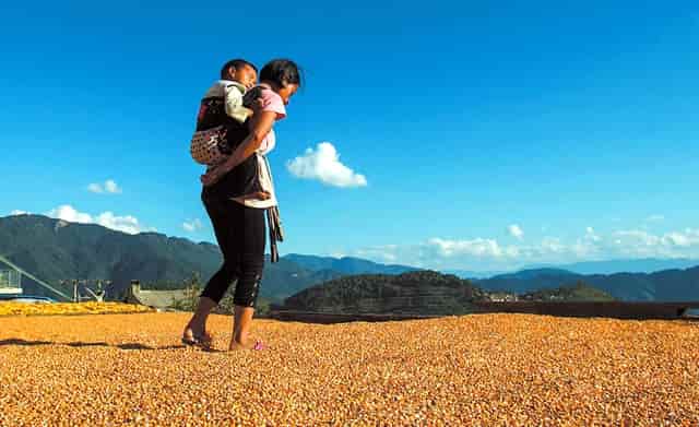 北京的雨水到哪了(雨水落到地上像什么)