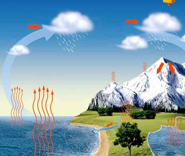 袖虎说，狗狗可不可以吃海鲜？