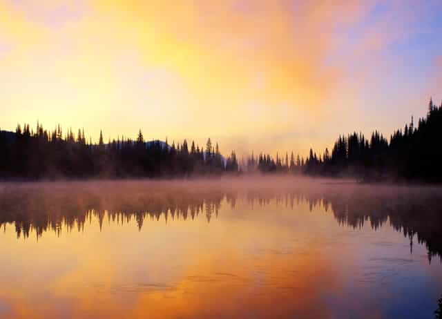 海报比拼：JDG困兽擒王 LNG迷失东京