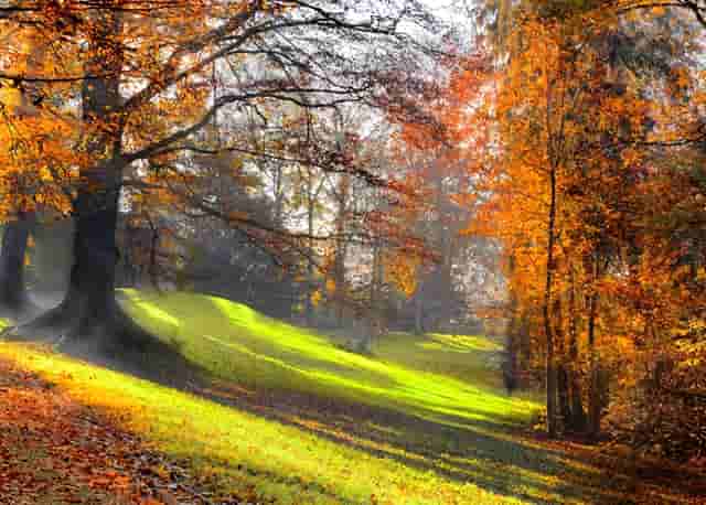 王者荣耀荣耀王者怎么晋级(王者荣耀荣耀王者和最强王者的区别)