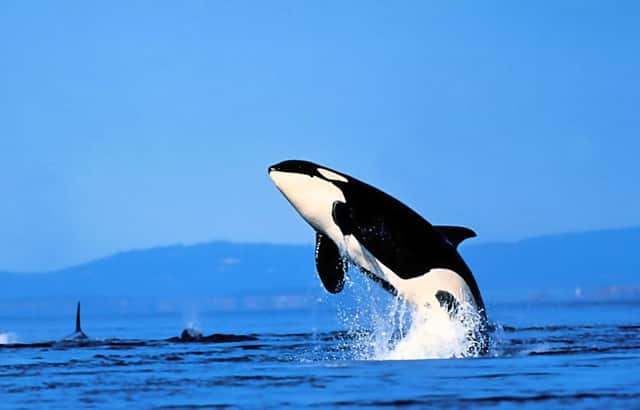 甲醛有效的办法(怎样除甲醛最快除甲醛)