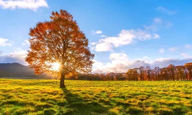 这一次，LV把刘亦菲热巴龚俊带去哪里度假了？