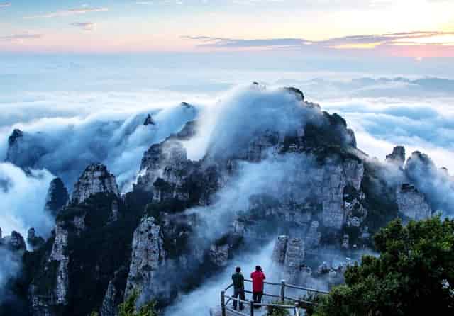 袖虎病猫攻略：猫眼睛无神？不是对你不满，很可能是少了这个