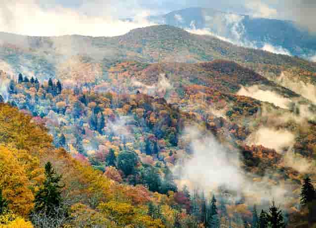 今夏流行“法式高级风”，好看死了！