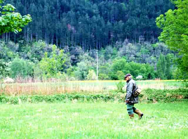 袖虎病狗攻略：这个问题不搞清楚会被狗咬