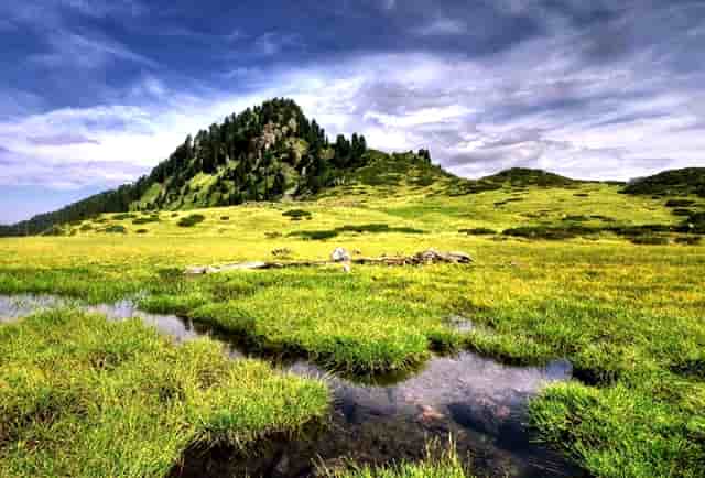 这是21世纪的高级定制，Balenciaga重新定义