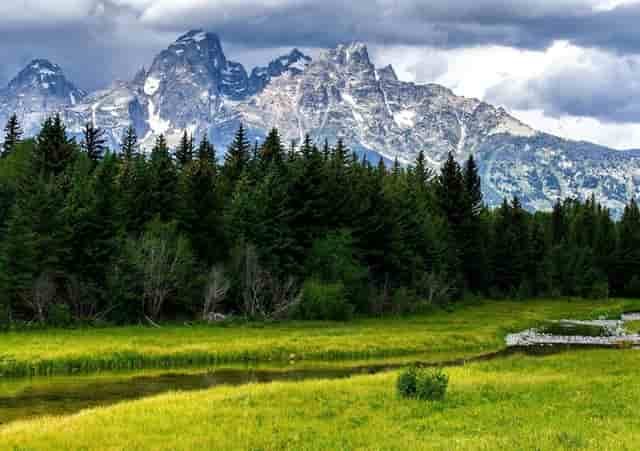 马鞍山撕碎机多片刀片生产厂家