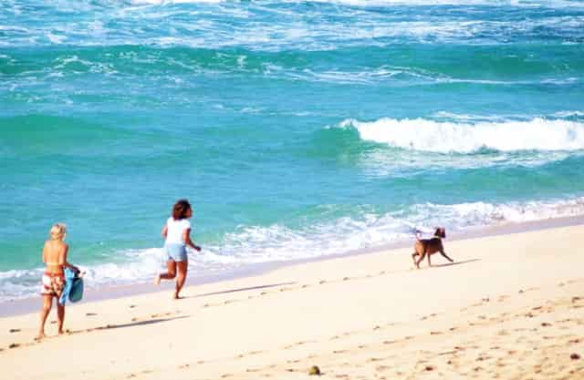 健身气功八段锦预备势