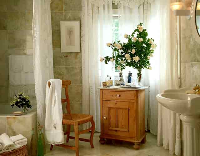 袖虎病猫攻略：老年猫常见病