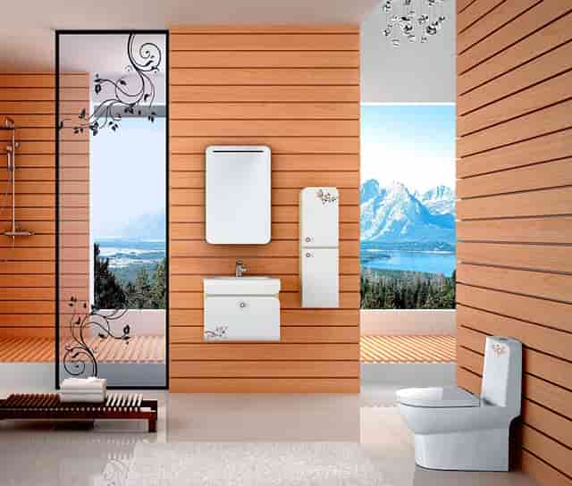 淑女的日常完整版