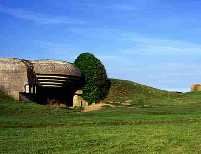 怒火重案点评(怒火重案免费观看)