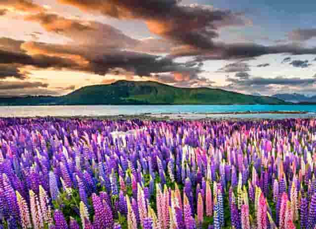 2017时尚穿搭技巧