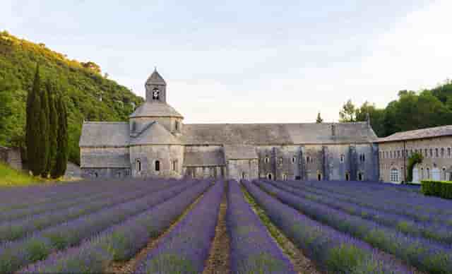 倒车入库技巧图解东方时尚(东方时尚倒车入库视频教程)