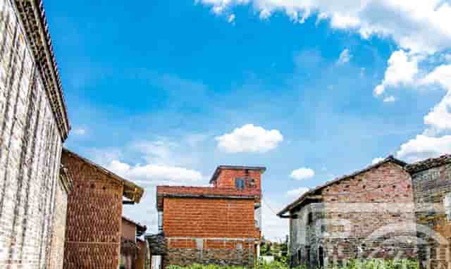 袖虎宠物攻略：猫咪突然过于反应激烈是怎么回事？