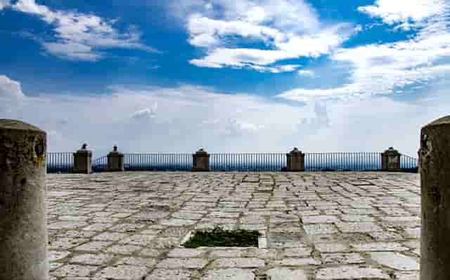 袖虎病狗攻略：狗的几种常见皮肤病，你都知道吗？