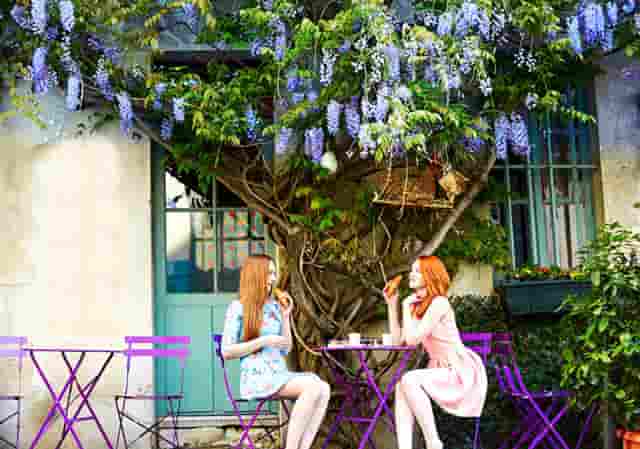 新蓝牌与蓝牌(电动车小蓝牌和大蓝牌)