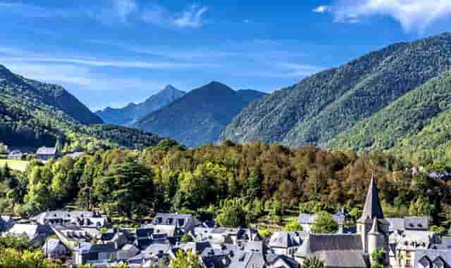 袖虎病狗攻略：狗狗白内障的三大症状？