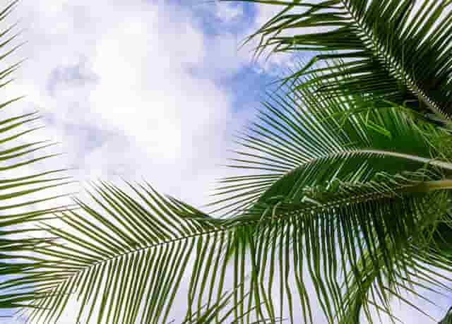 工作中的公务员招聘(信阳市公务员招聘公告)