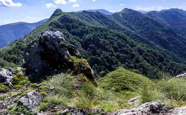 综合行政执法局行政执法证(综合行政执法局行政执法证考试没通过能被辞退吗)