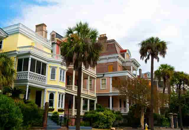 纹眉后吃什么东西(纹眉前不能吃什么东西)