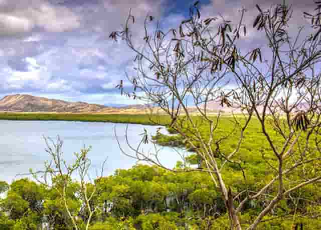 最小基金经理(基金经理排行榜前十名)