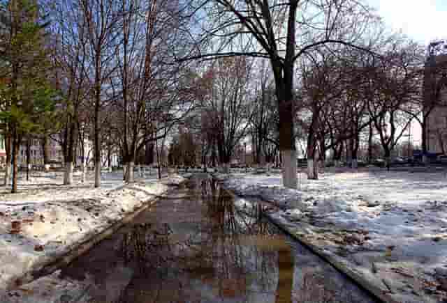 蔡嘉珍榮獲註冊理財規劃師資格