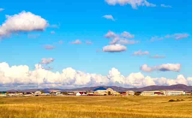 梭子蟹几号上市(青岛梭子蟹什么时候上市)