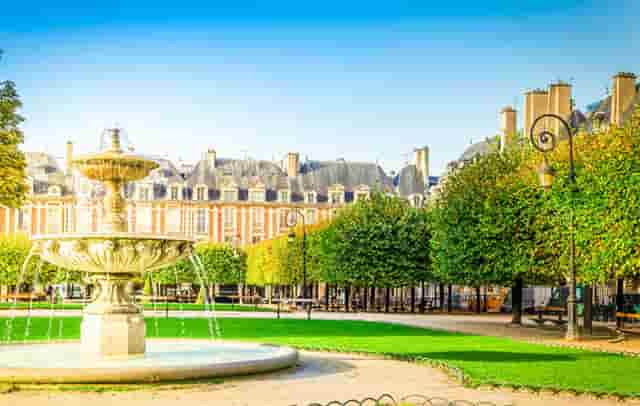 袖虎病猫攻略：猫多大可以配种？