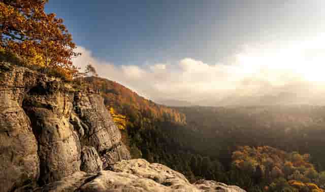 袖虎病猫攻略：泪痕重的就是病猫吗？