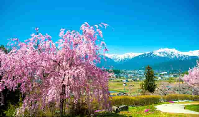 江西高等教育问题(江西高等教育洼地)