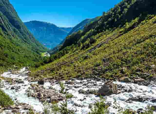 抄底永远比别人早一步