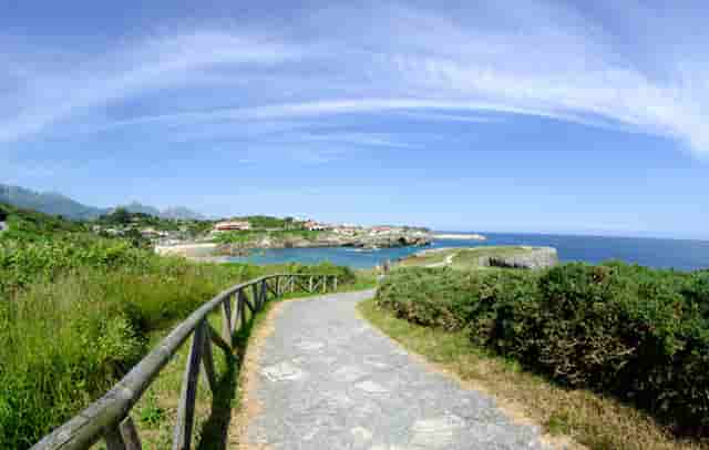 收回股东的股权(股东有权请求公司收回股权的情形)