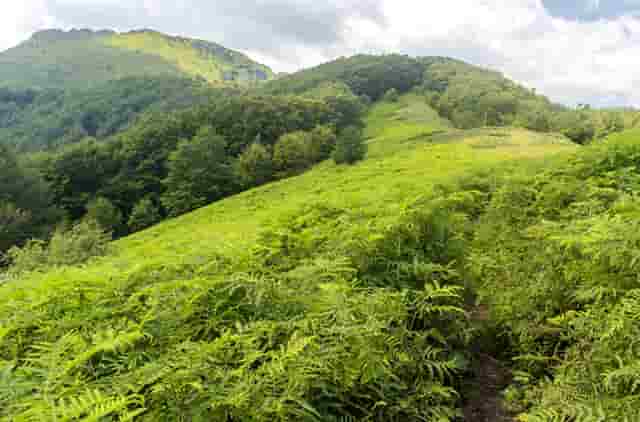 门诊医院可以做核酸检测吗(医院看门诊需要做核酸吗)