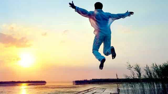 袖虎宠物提醒不要给猫咪喂垃圾食品！这些食物才利于发育！