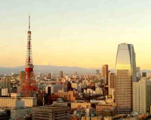 袖虎病猫攻略：猫不出门也会感染猫瘟吗？是！